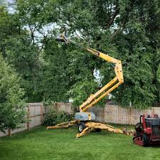 Best Stump Grinding and Removal  in Union Grove, WI